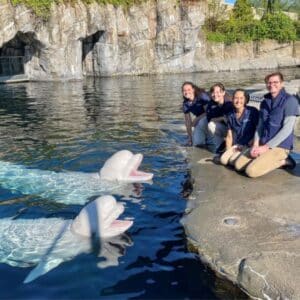 Staff at Mystic Aquarium posing with beluga whales