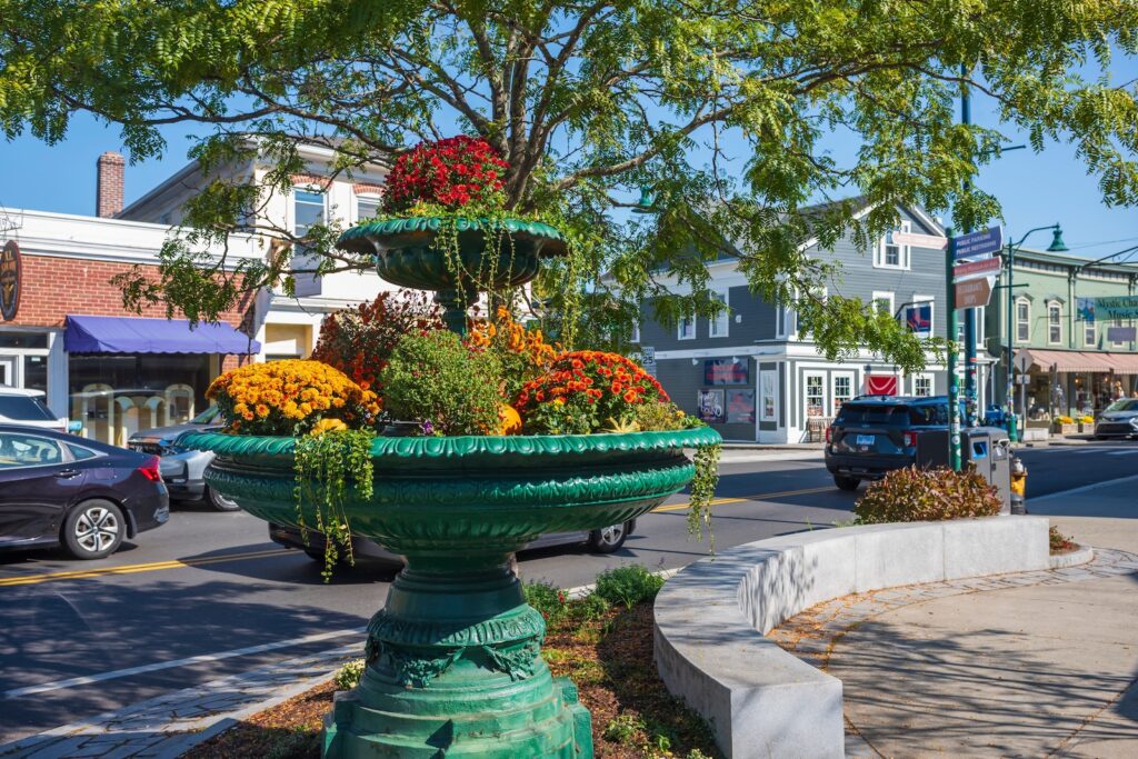 A downtown flower stand covered with mums for fall in Mystic CT.