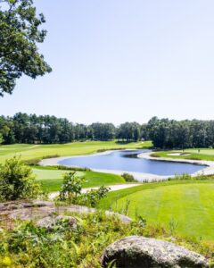 A Golf green and pond with flowers and trees in the foreground 