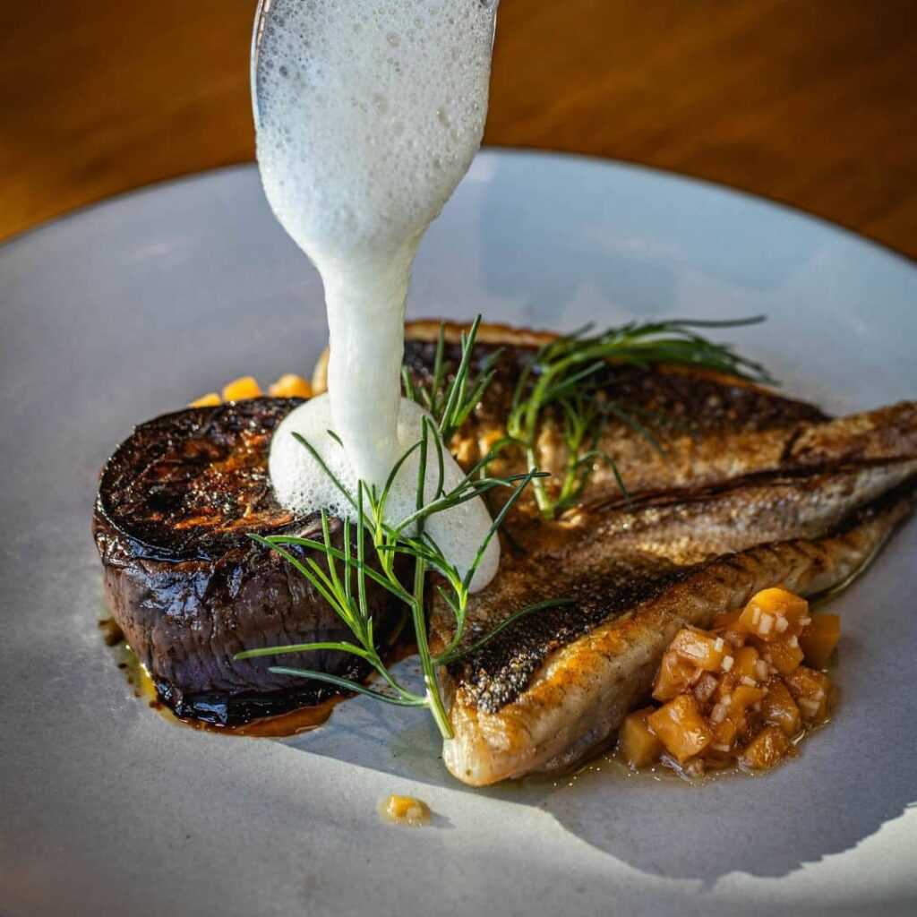 Gourmet plate of pan-seared fish and steak garnished with herbs and drizzled with a light foam sauce.