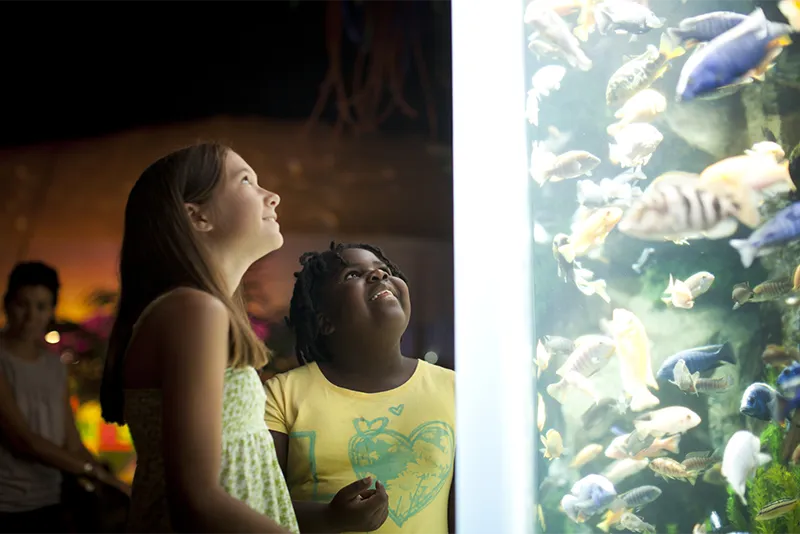 Two girls watch exotic fish in a brightly lit aquarium exhibit.